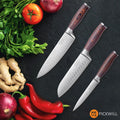 PICKWILL 3-Piece Chef Knife Set - Paudin Store