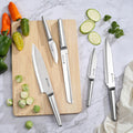 Refresh 5 -PC Black Chef's Knife Set - Paudin Store