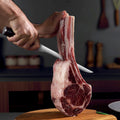 PAUDIN UNIVERSAL CLASSIC 10 Inch Carving Knife - Paudin Store
